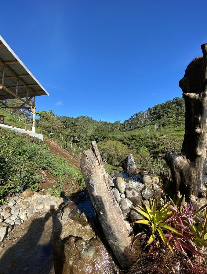 Arte De Plumas Birding Lodge Cartago Extérieur photo