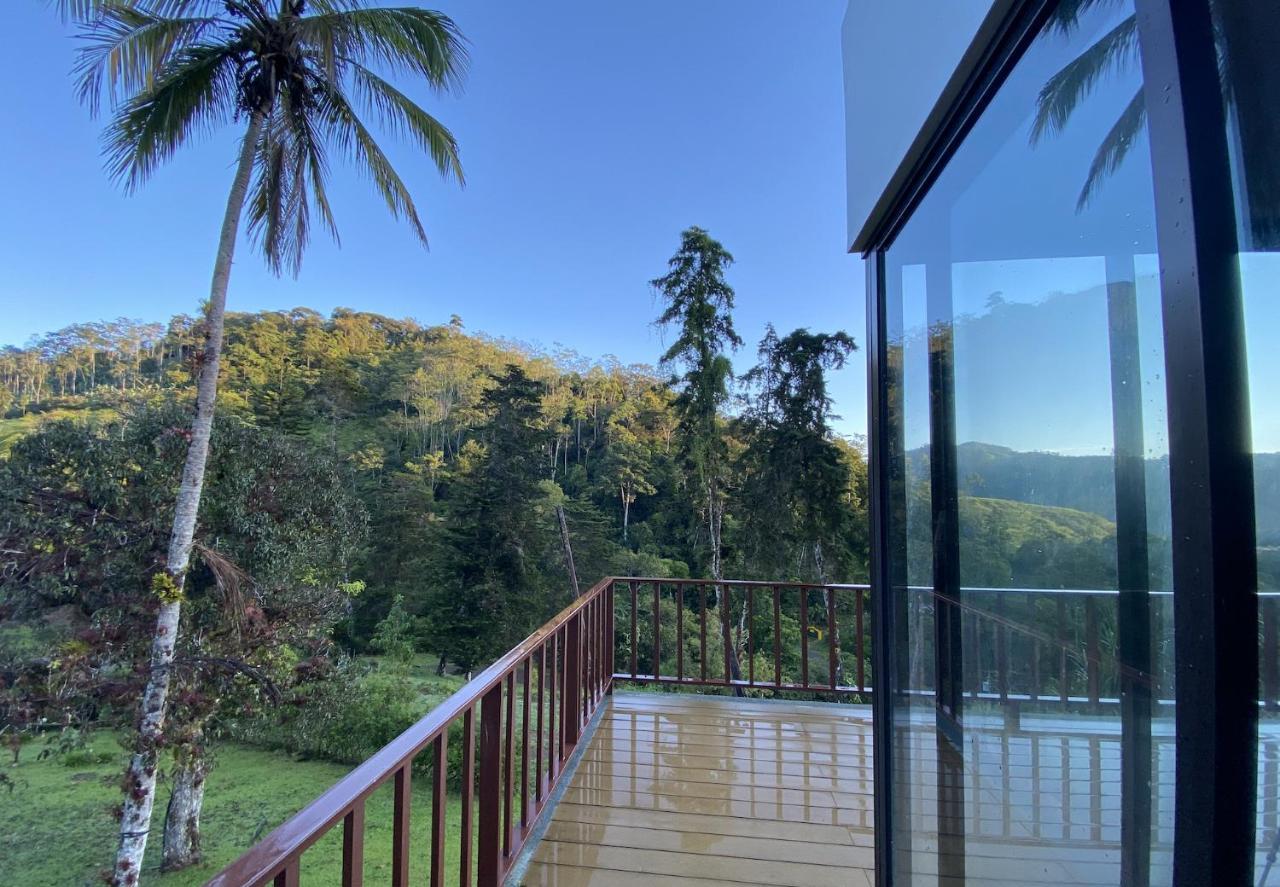 Arte De Plumas Birding Lodge Cartago Extérieur photo